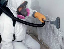 Best Mold Odor Removal Services  in Millersburg, OH